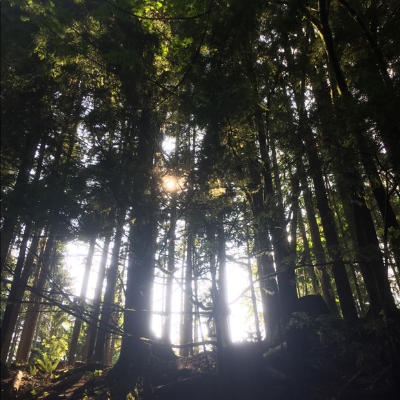 Meet your Posher, Nuna - Picture 1 of 1